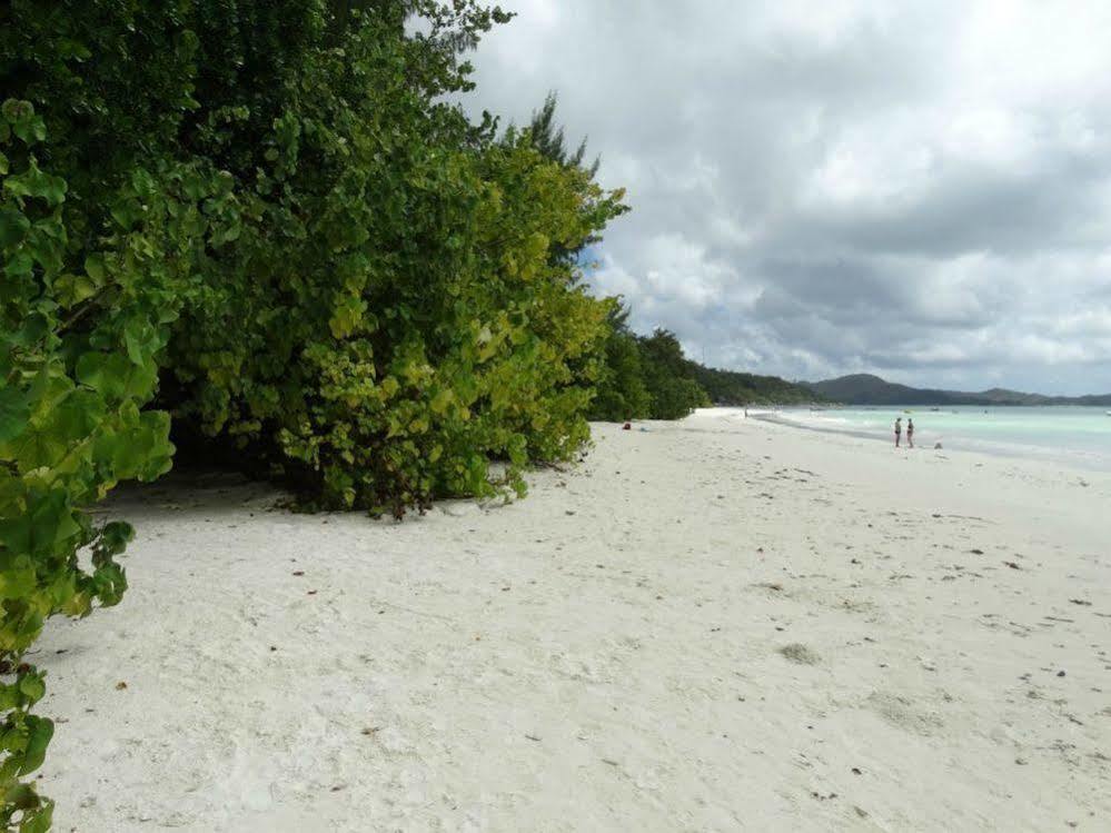 Cote D'Or Chalets Anse Volbert Village  Luaran gambar